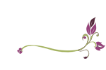 Tulsa Bridal Shows Link
